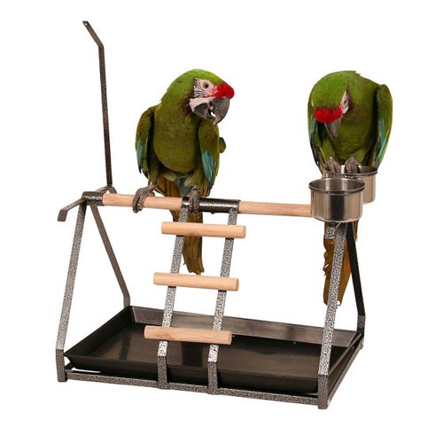 Loro Playstand Bird Playground